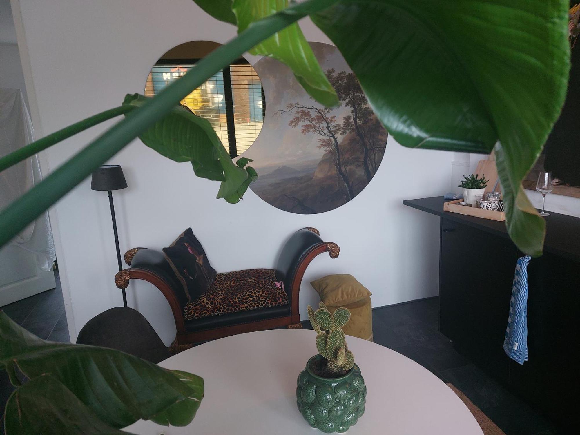 Rembrandtsbeachsuite Zandvoort Esterno foto